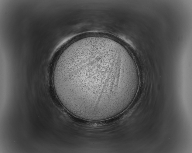 X0000086081311200704132054