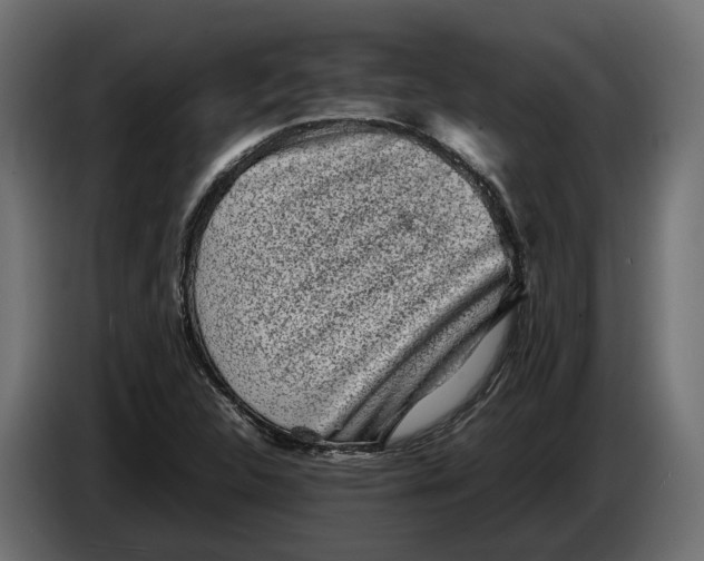 X0000086081312200704132054