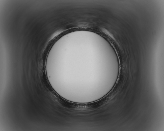 X0000086081315200704132054