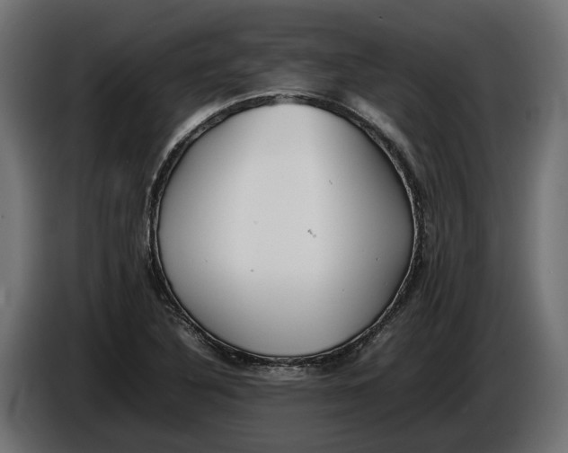 X0000086081316200704132054