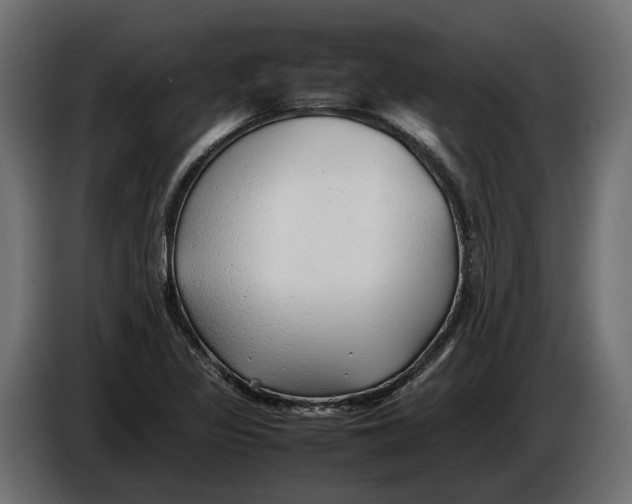 X0000086081317200704132054