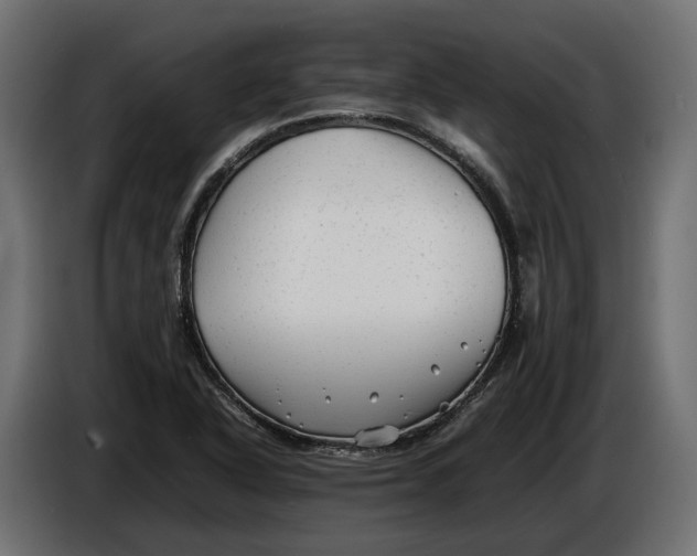 X0000086081318200704132054