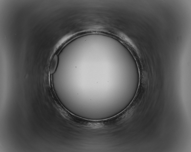 X0000086081320200704132054