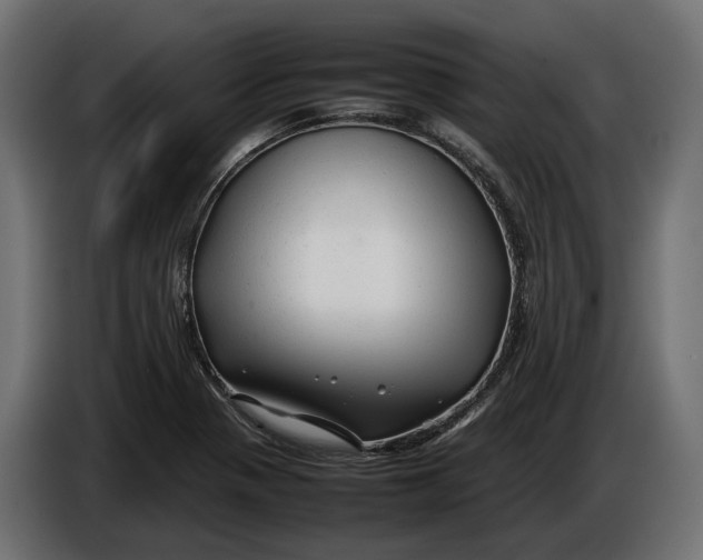 X0000086081321200704132054