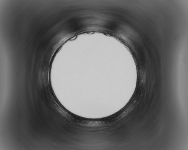 X0000086081322200704132054