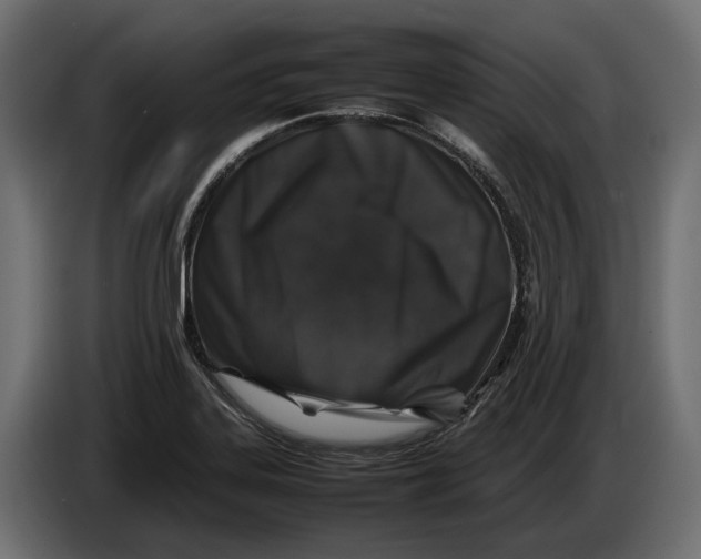 X0000086081323200704132054