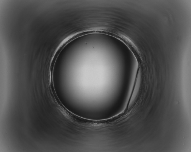 X0000086081324200704132054