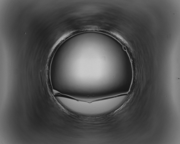 X0000086081325200704132054