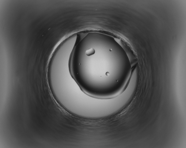 X0000086081326200704132054