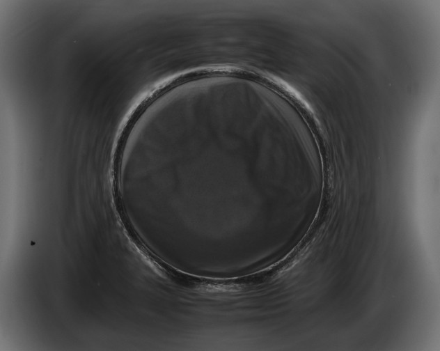 X0000086081327200704132054