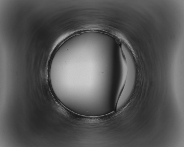 X0000086081328200704132054