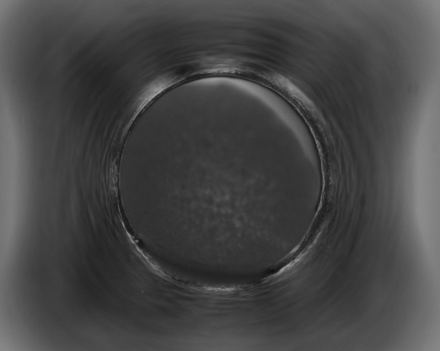 X0000086081329200704132054