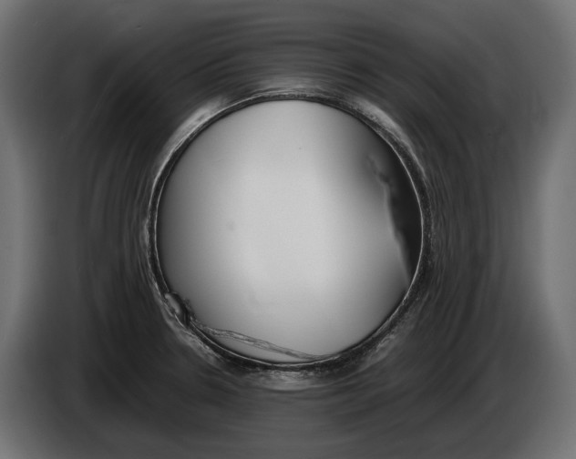 X0000086081330200704132054