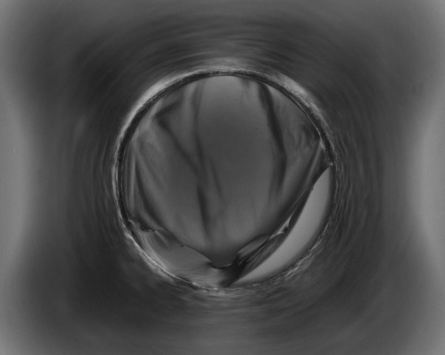 X0000086081334200704132054