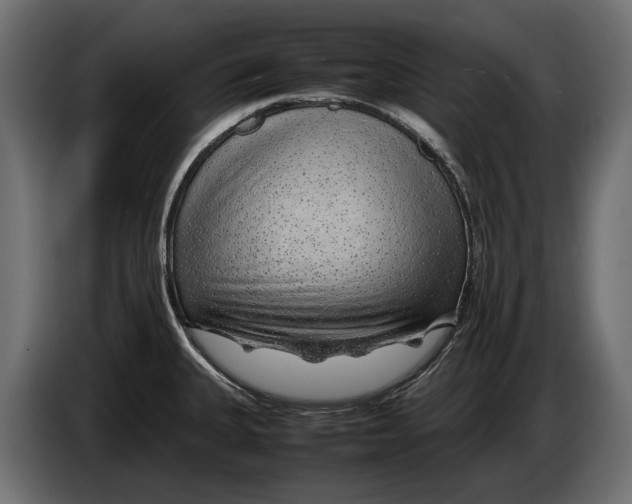 X0000086081335200704132054