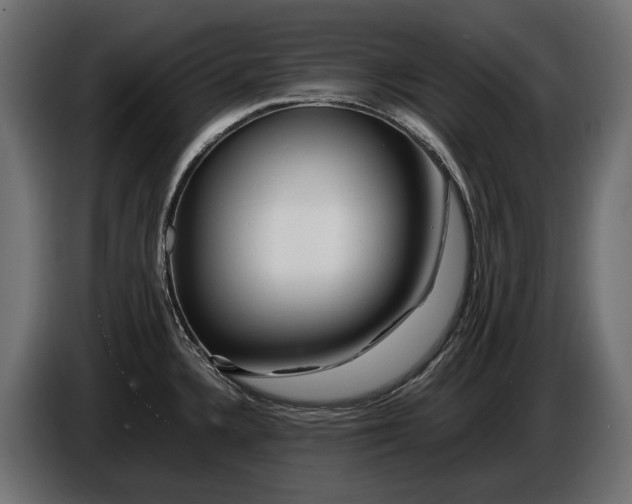 X0000086081336200704132054