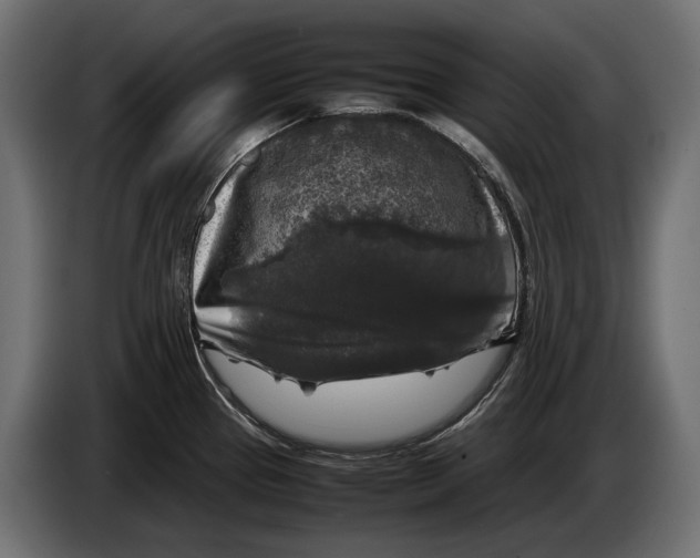 X0000086081337200704132054