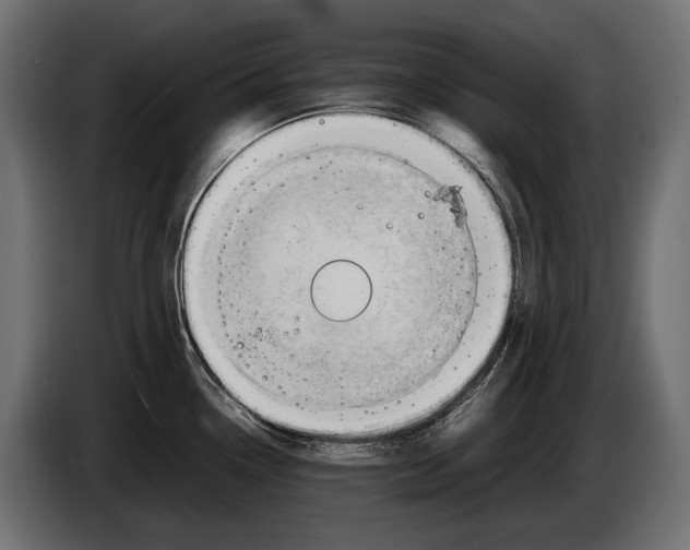 X0000086081338200704132054