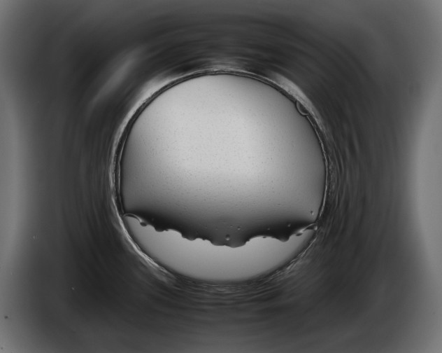 X0000086081339200704132054