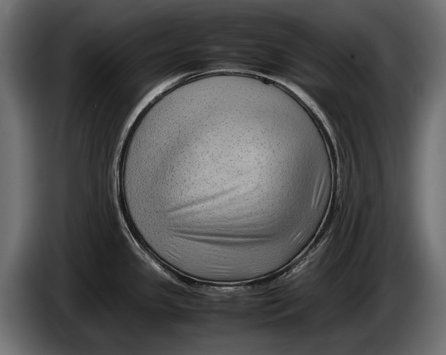 X0000086081341200704132054