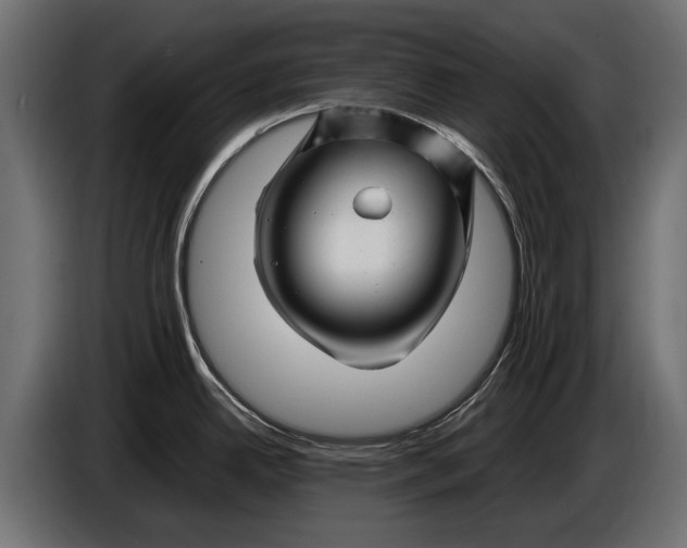 X0000086081342200704132054