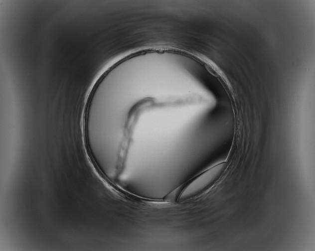 X0000086081343200704132054