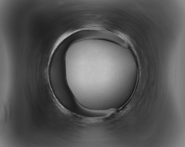 X0000086081344200704132054