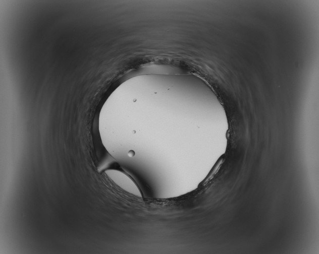 X0000086081345200704132054