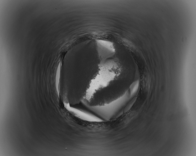 X0000086081346200704132054