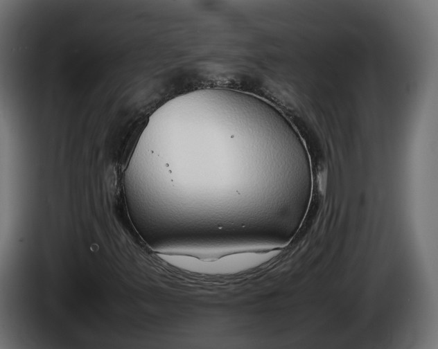 X0000086081347200704132054