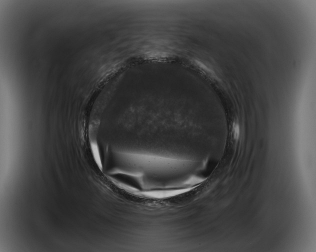 X0000086081348200704132053