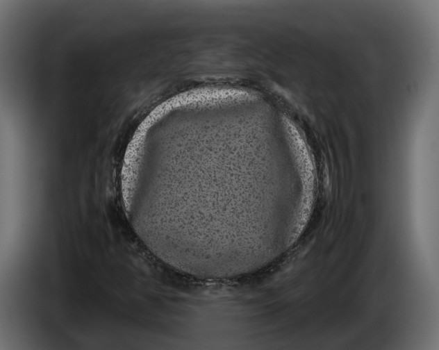 X0000086081350200704132053