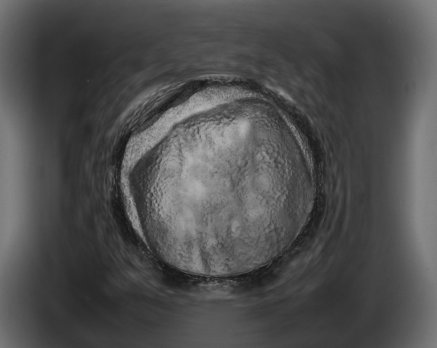 X0000086081351200704132053