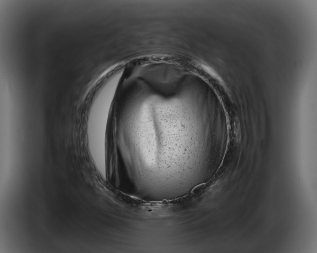 X0000086081352200704132053