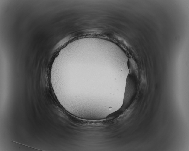 X0000086081354200704132053