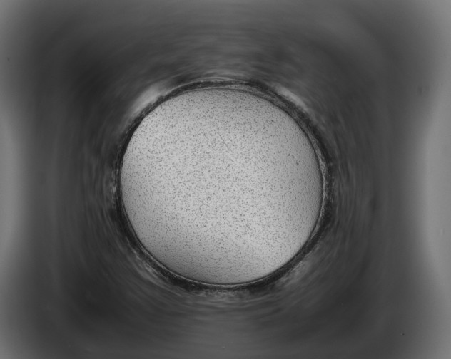 X0000086081355200704132053