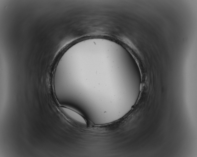 X0000086081356200704132053