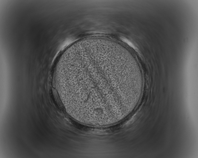 X0000086081357200704132053