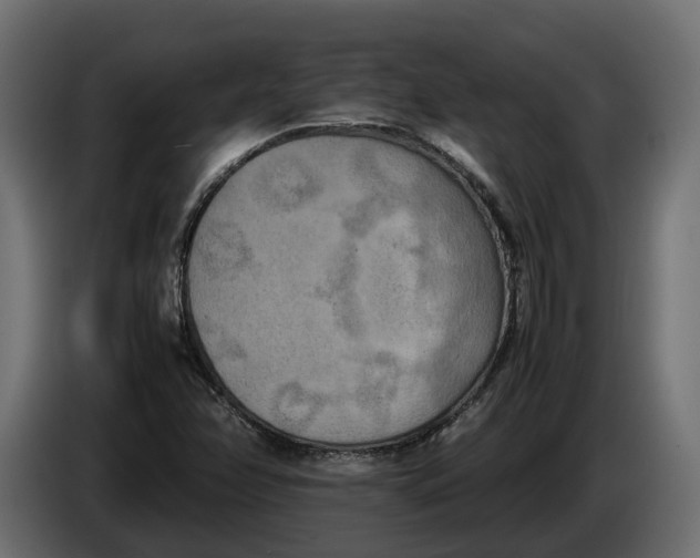 X0000086081358200704132053