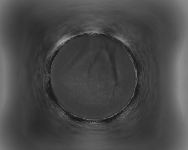 X0000086081359200704132053