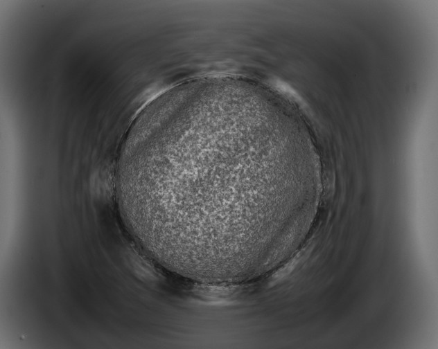 X0000086081361200704132053