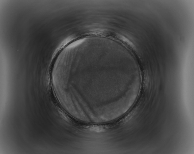 X0000086081362200704132053