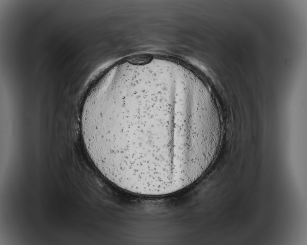 X0000086081363200704132053