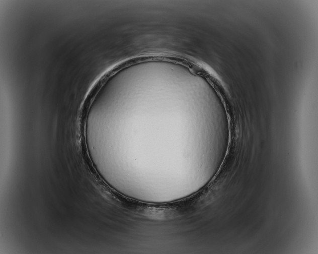 X0000086081364200704132053