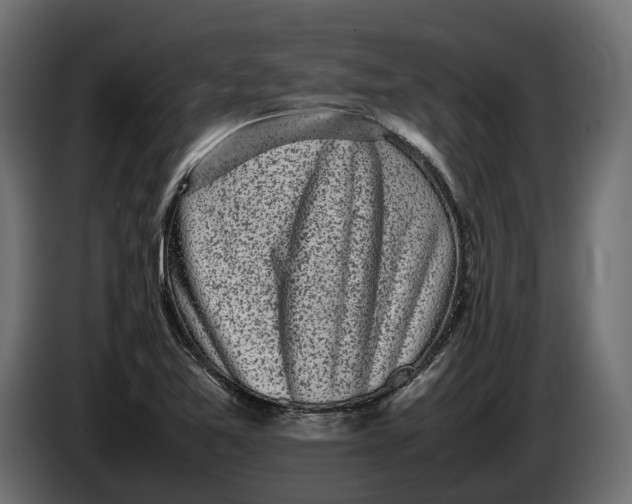 X0000086081365200704132053