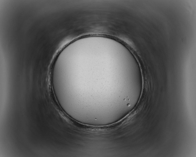 X0000086081366200704132053