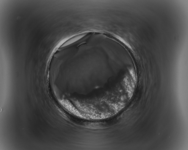 X0000086081367200704132053