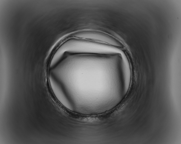 X0000086081368200704132053