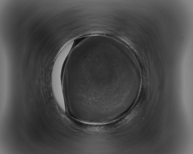 X0000086081369200704132053