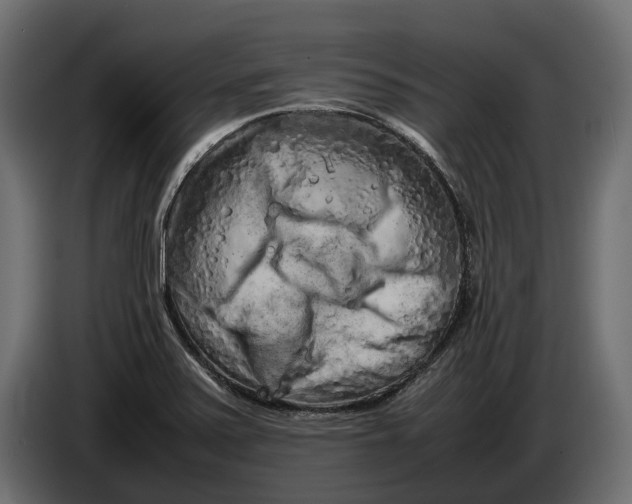 X0000086081371200704132053